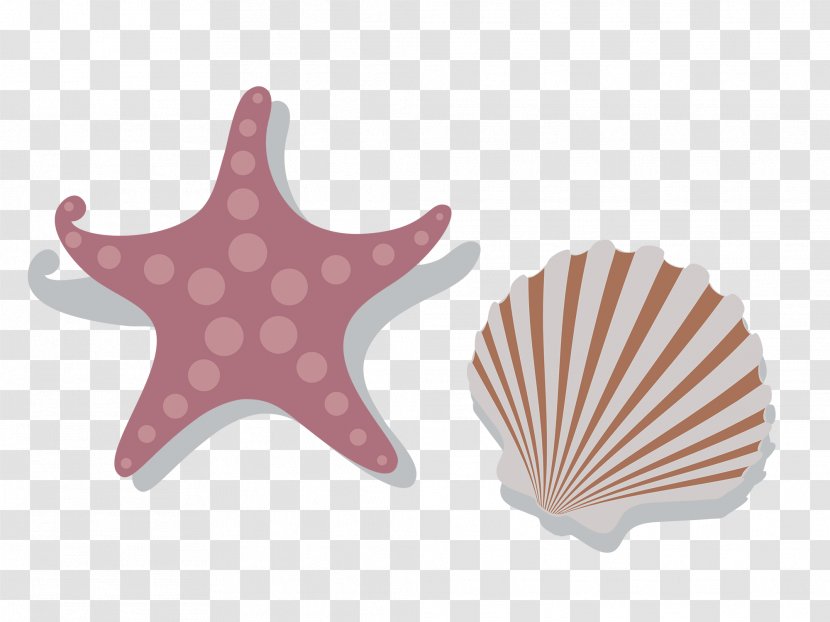 Seashell - Starfish - Red Simple Shell Decoration Pattern Transparent PNG