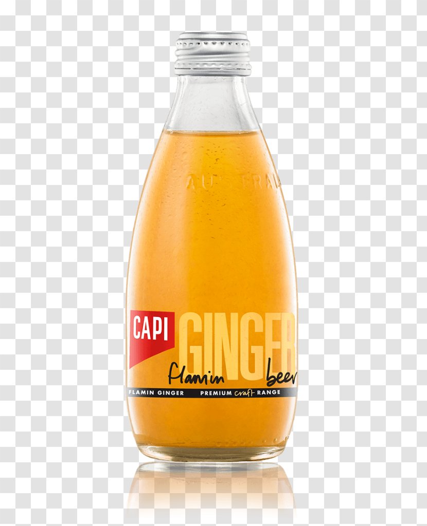 Ginger Beer Ale Fizzy Drinks Moscow Mule Transparent PNG