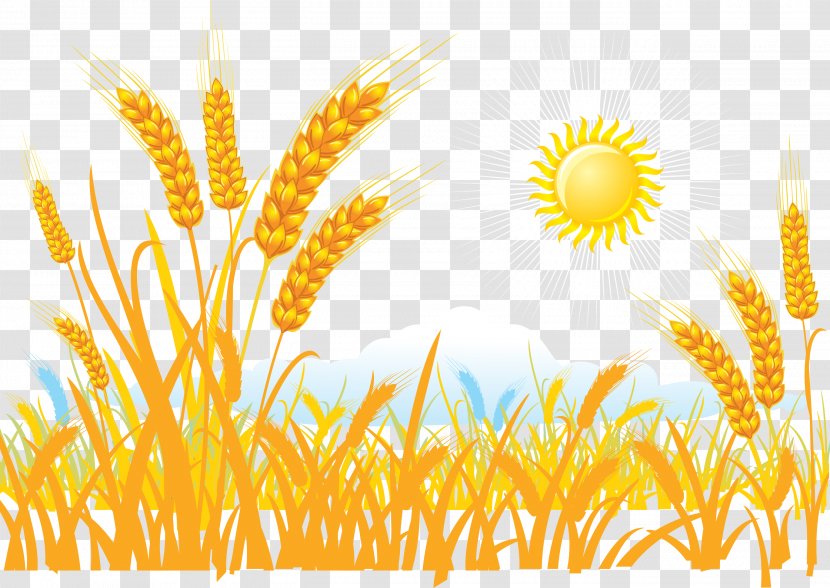 Wheat Sticker Clip Art - Grass - Harvest The Grain Of Transparent PNG