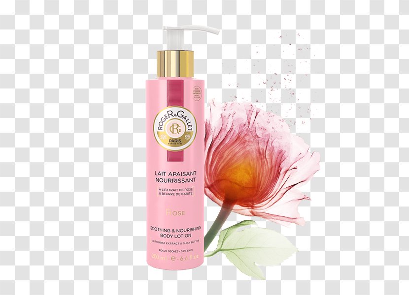 Perfume Roger & Gallet Rose Gentle Fragrant Water Spray Shower Gel Lotion - Pharmacy Transparent PNG