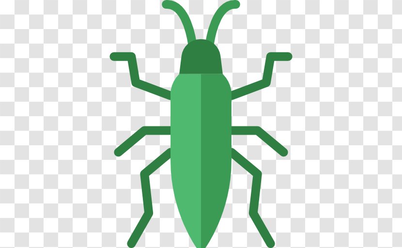 Insect Flea Pest Louse Rat - Bedbug Transparent PNG