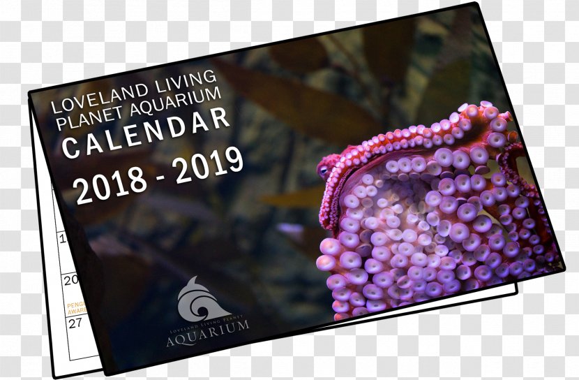 Display Advertising Brand - Purple - Loveland Living Planet Aquarium Transparent PNG