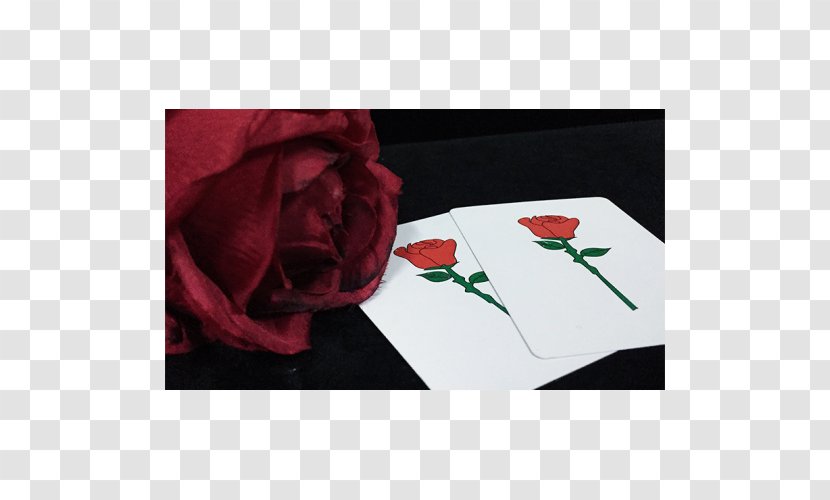 Garden Roses Place Mats Rectangle - Magic Eye Transparent PNG