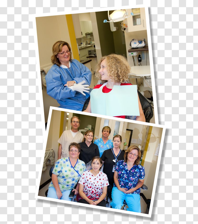 Crescent City Dentistry Del Norte Community Health Center Dental - Tree - Bassoon Family Transparent PNG