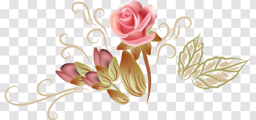 Garden Roses Beach Rose - Pink - Hand-painted Transparent PNG