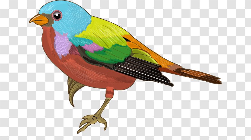 Tree Drawing - Passerine - Perching Bird Songbird Transparent PNG