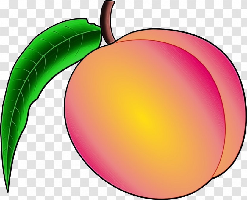 Fruit Plant Leaf Tree Food - Wet Ink - Apple Natural Foods Transparent PNG