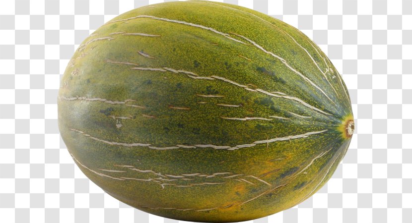 Cantaloupe Honeydew Galia Melon Watermelon - Pure Transparent PNG