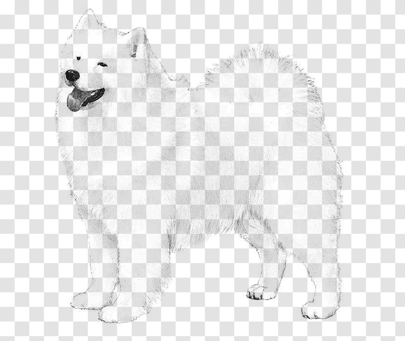 Samoyed Dog American Cocker Spaniel Labrador Retriever Bulldog Pointer - Northern Characteristic Transparent PNG