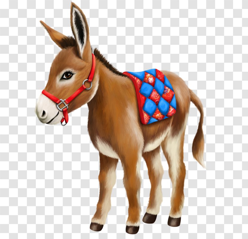 Donkey Horse Mule Clip Art Mare - Burro Transparent PNG