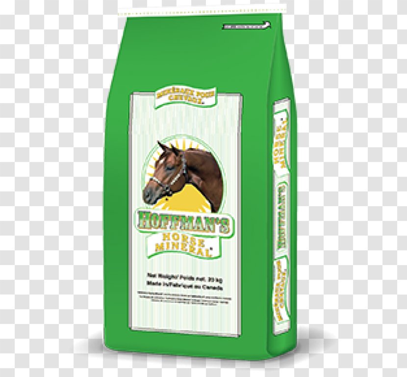 American Quarter Horse Dog Food Mineral Nutrition - Supplies Transparent PNG