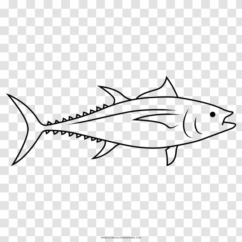 Drawing Coloring Book Black And White Line Art Clip - Thunnus - Atum Transparent PNG