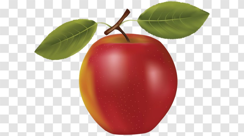 Barbados Cherry Apple Apricot Fruit - Plant Transparent PNG