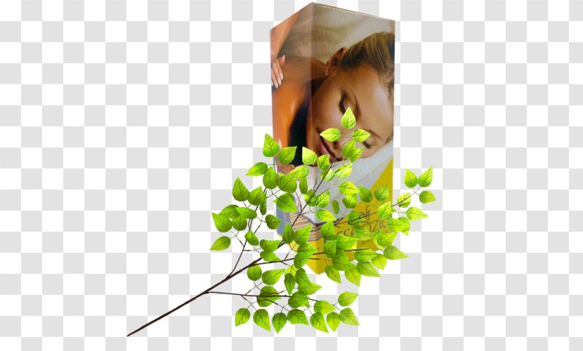 Floral Design Leaf Twig Flowerpot - Branch - Natural Nutrition Transparent PNG