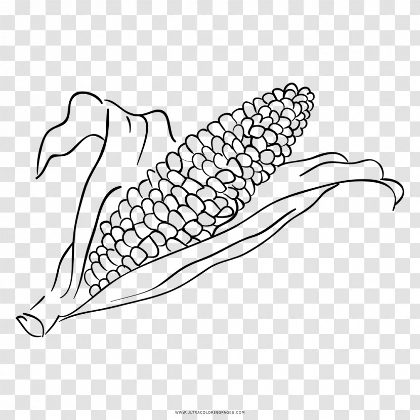 Coloring Book Drawing Black And White Line Art Clip - Leaf - Milho Transparent PNG