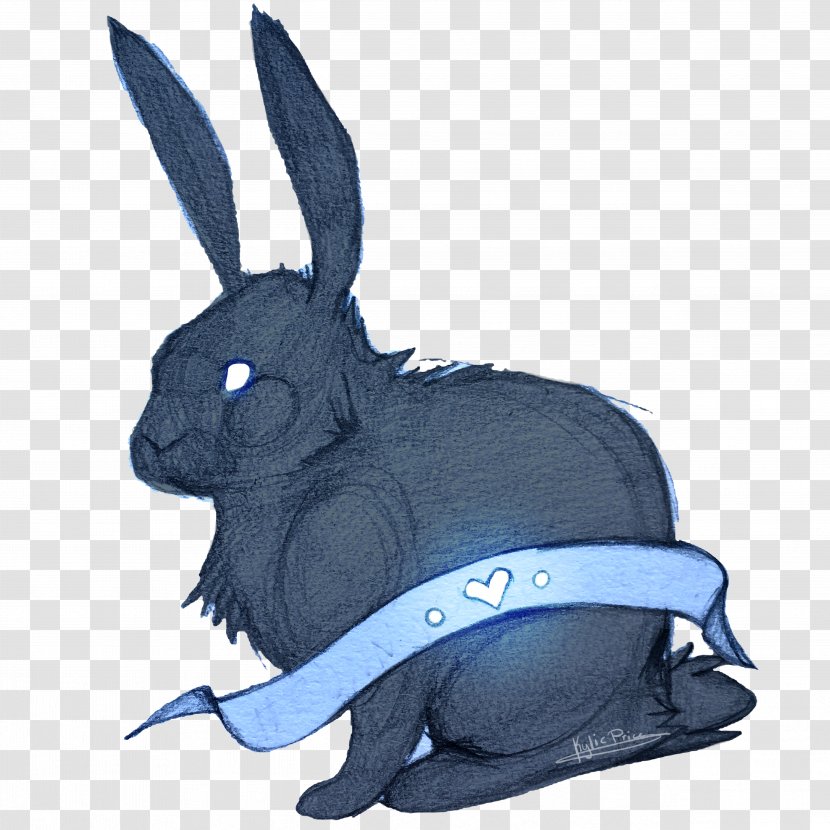 Domestic Rabbit Hare Snout Transparent PNG