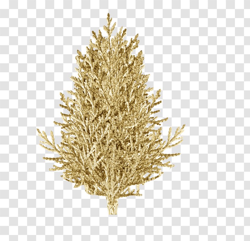 Spruce Christmas Ornament Tree Fir - Branch Transparent PNG