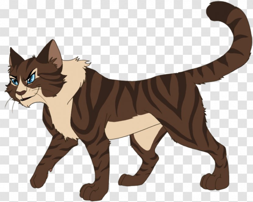 Warriors Cats Of The Clans Hawkfrost Last Hope - Cat Transparent PNG