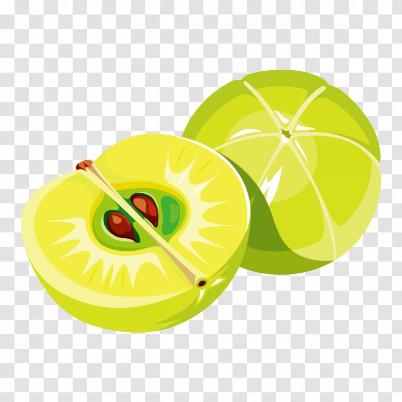 Apple - Lemon Lime - Green Graphics Transparent PNG