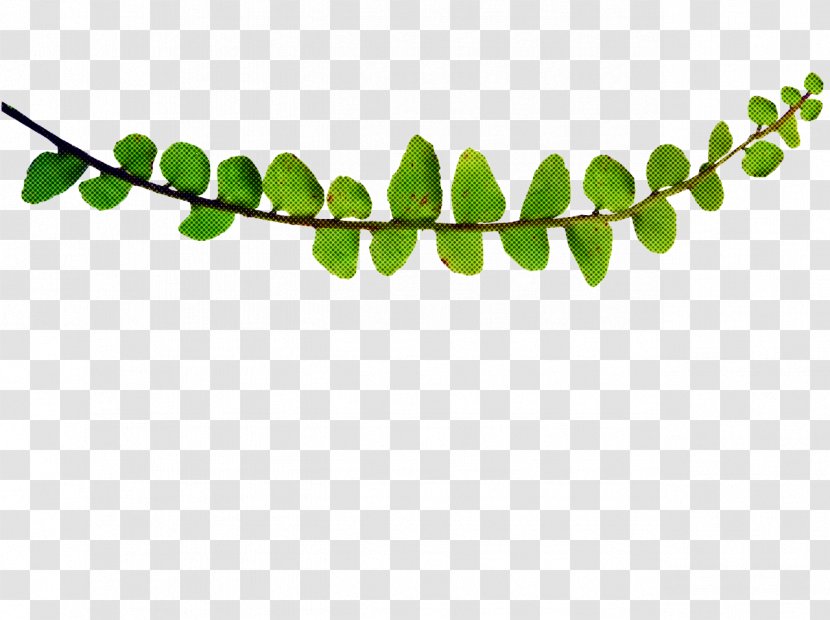 Green Leaf Background - Plant - Flower Branch Transparent PNG