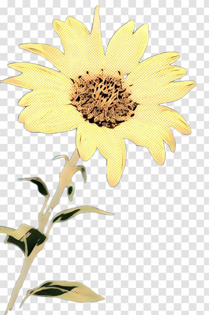 Floral Flower Background - Common Sunflower - Jerusalem Artichoke Gazania Transparent PNG