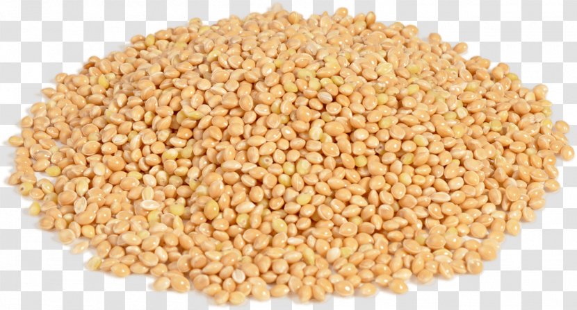 Boza Proso Millet Groat Cereal - Caryopsis Transparent PNG