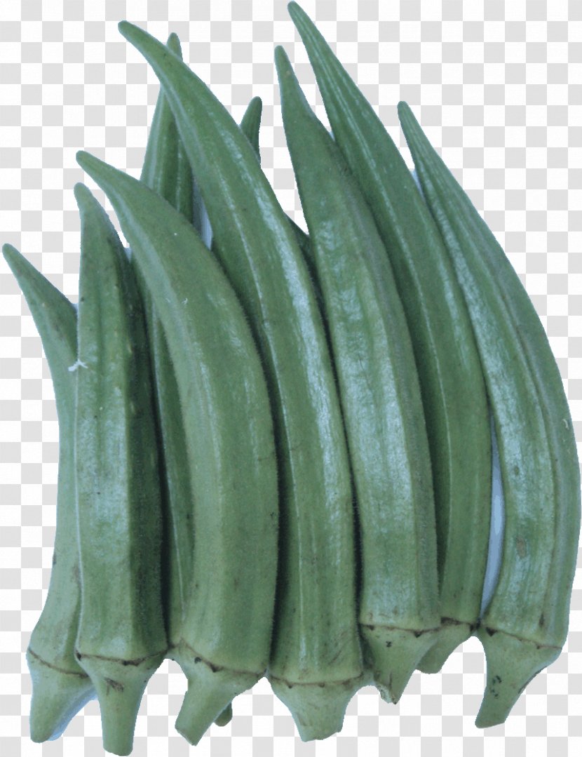 Green Leaf Plant Okra Transparent PNG