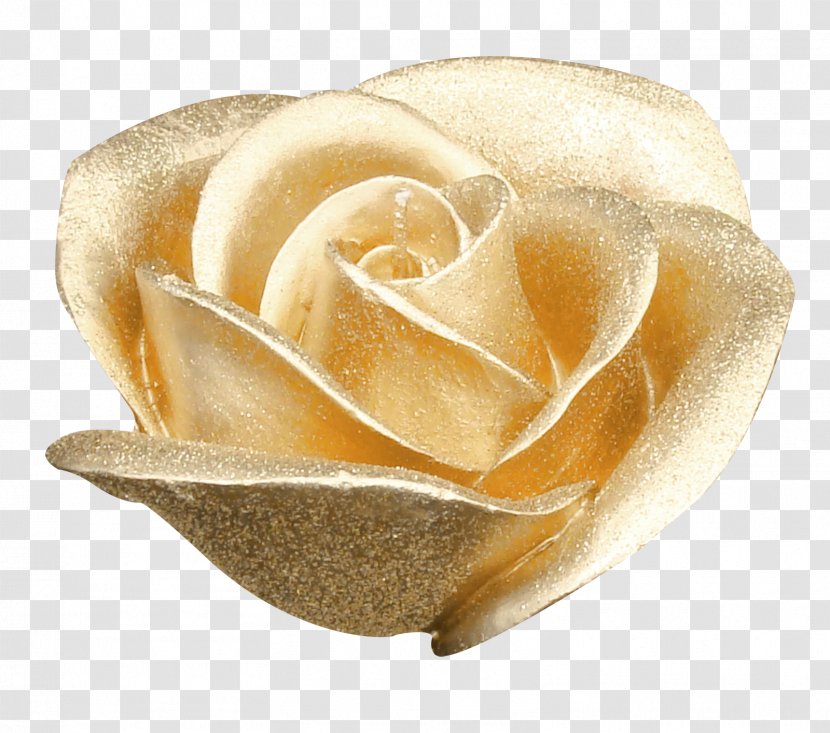 Garden Roses Flower Gold - Photography - Pretty Golden Rose Transparent PNG