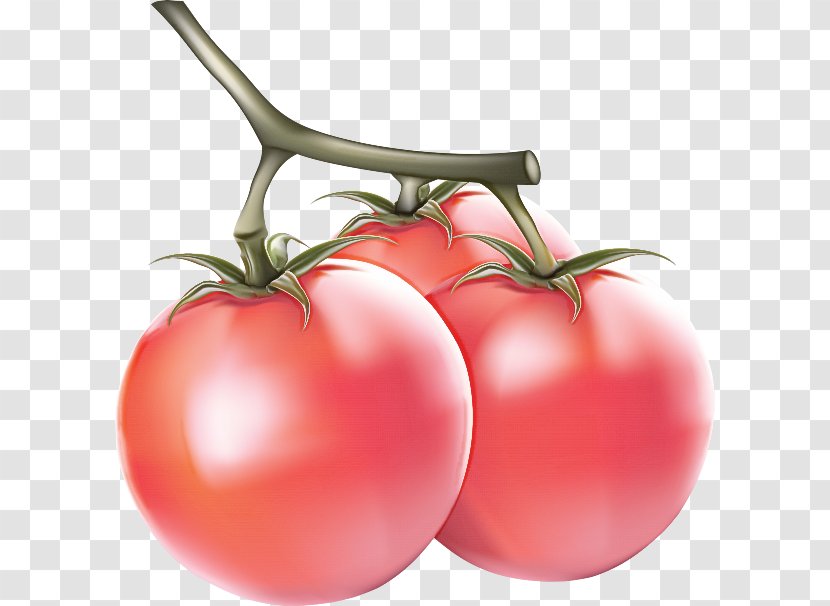 Tomato - Vegetable - Food Local Transparent PNG