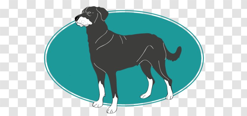 Dog Breed Italian Greyhound Puppy Graphics - Berger De Beauce Transparent PNG