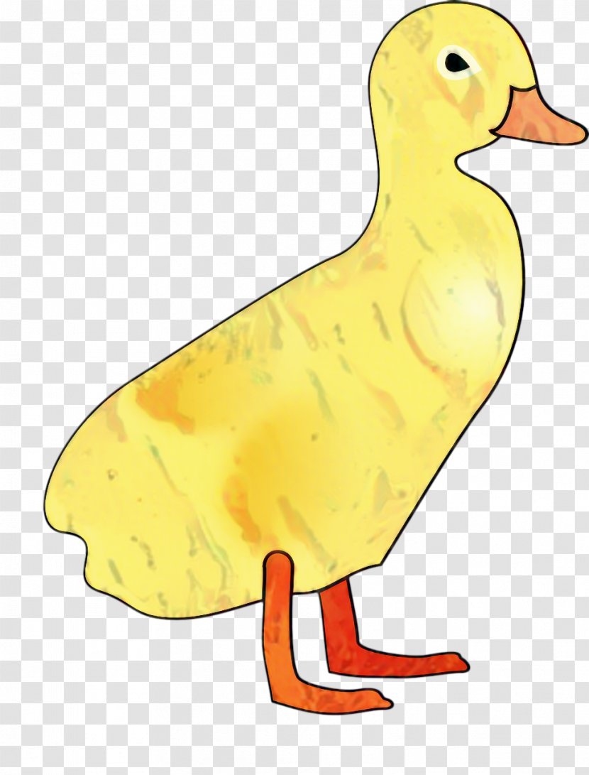 Chicken Cartoon - Livestock Waterfowl Transparent PNG