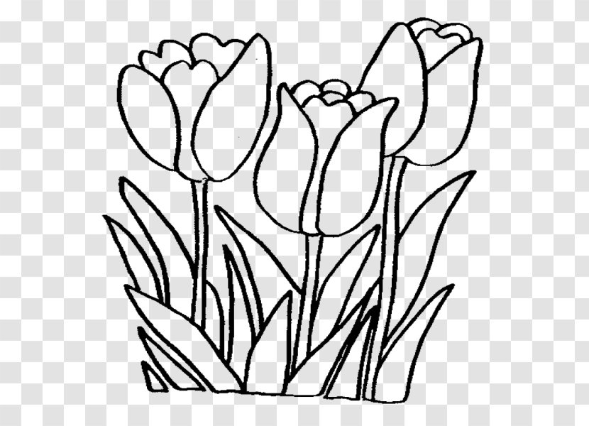 Coloring Book Flower Bouquet Drawing Transparent PNG