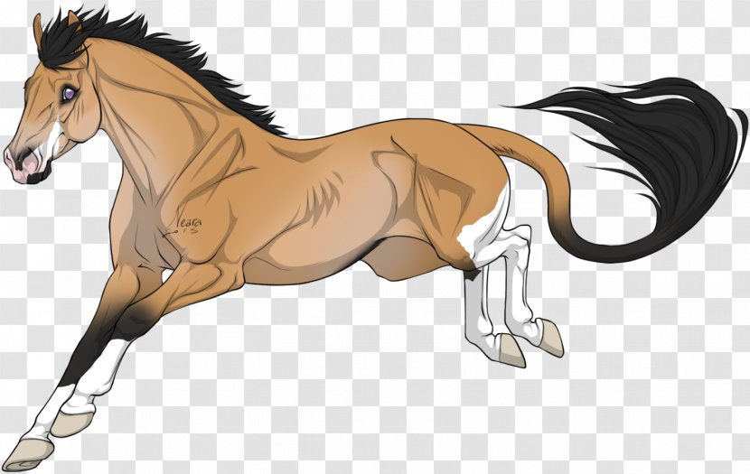 Foal Mane Stallion Mustang Colt - Fictional Character Transparent PNG