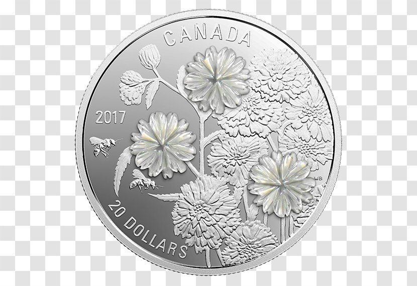 Silver Coin Canada Flower Transparent PNG