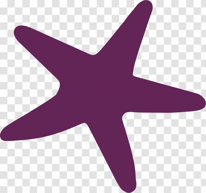 Coworking Starfish Aspern Seestadt Gisela-Legath-Gasse Salon JAspern Airplane - Invertebrate - Seestern Transparent PNG