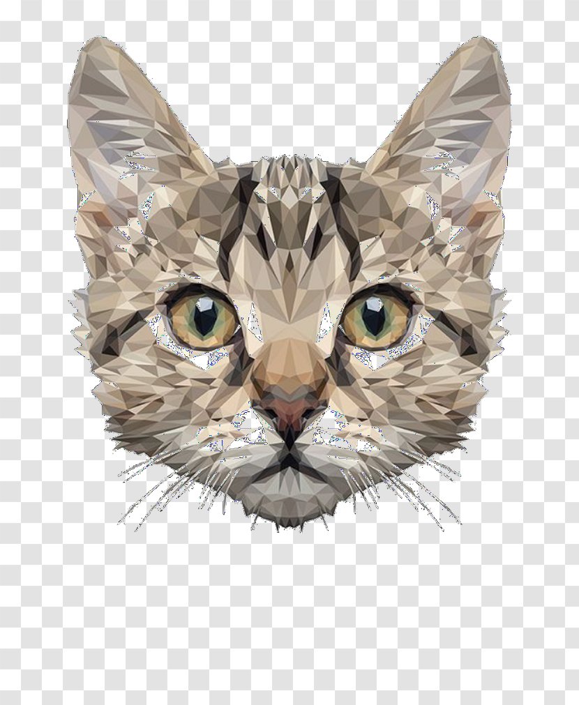 Maine Coon Dog Cushion Dragon Li Kitten - Carnivoran Transparent PNG