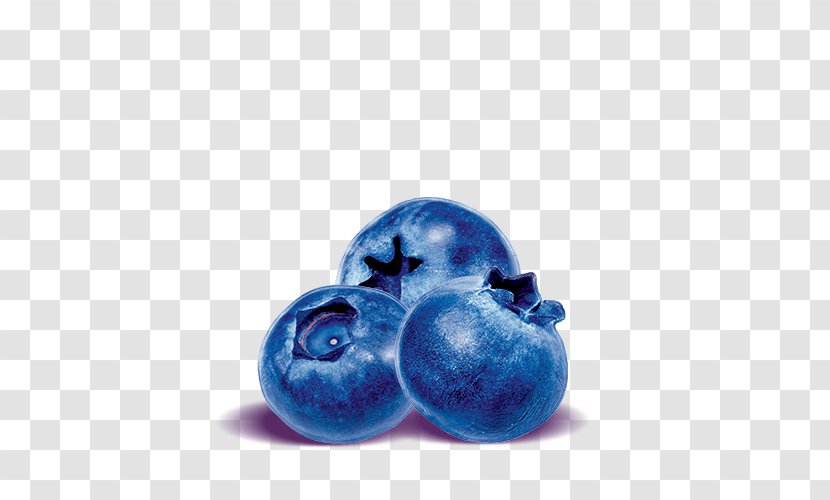 Blueberry Bilberry Superfood - Cobalt Blue - Blueberries Transparent PNG
