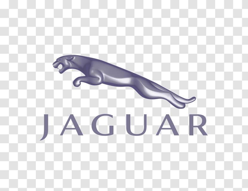 Jaguar Cars 2013 XF Logo - Mammal - Alain Mikli Transparent PNG