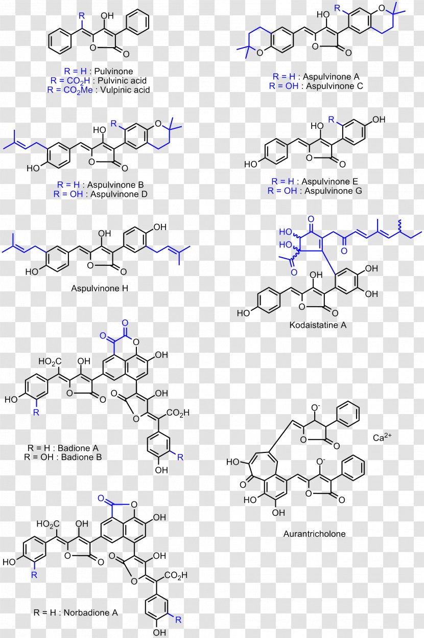 Vancomycin-resistant Enterococcus Line Angle - Area Transparent PNG