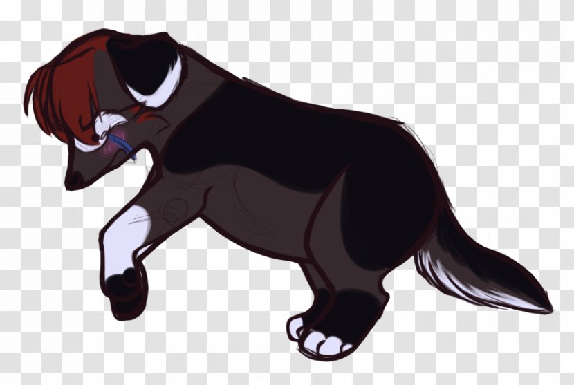 Dog Cat Mammal Cartoon - Bear Transparent PNG
