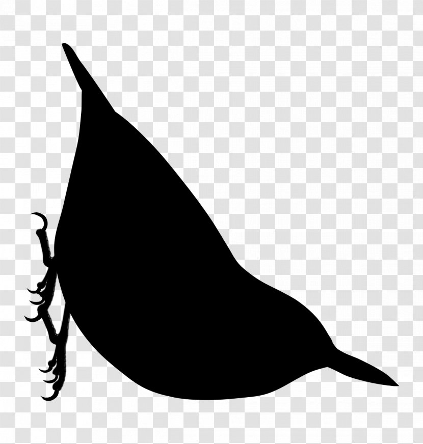 Dolphin Clip Art Fauna Silhouette Beak - Plant Transparent PNG