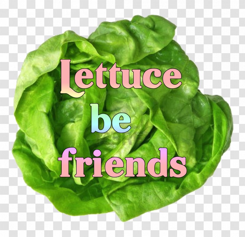 Organic Food Spinach Salad Vegetable Health - Butterhead Lettuce Transparent PNG