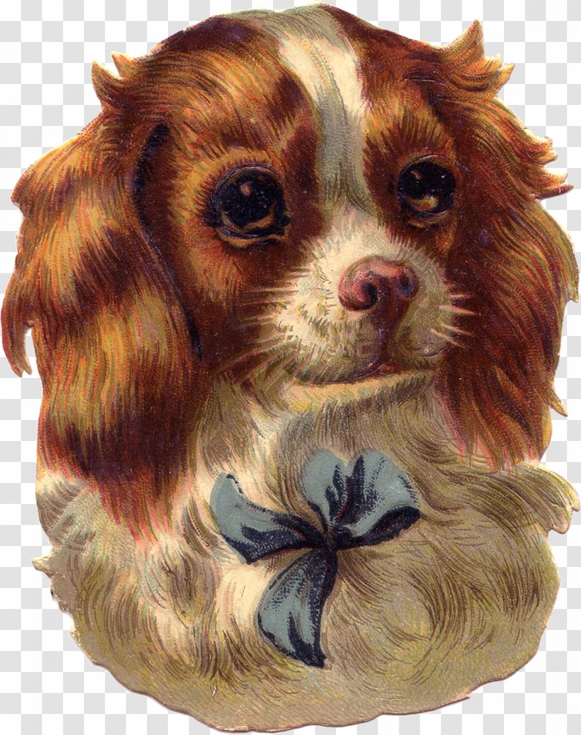 Puppy English Cocker Spaniel French Bulldog - Cat Transparent PNG