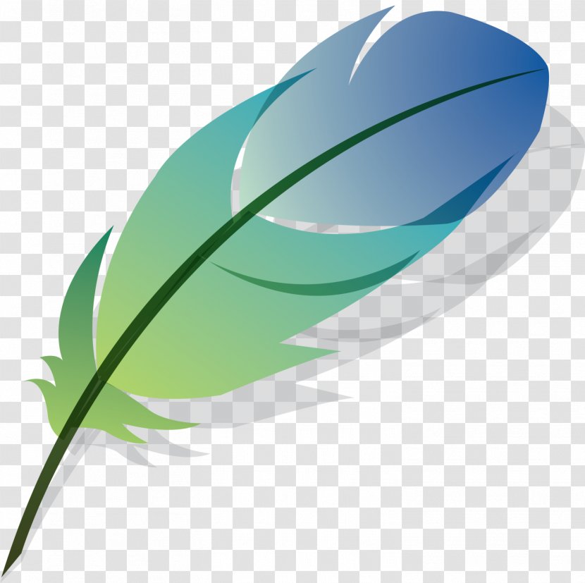 Bird Feather Drawing - Grass - Feathers Transparent PNG