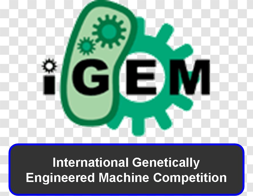 International Genetically Engineered Machine Synthetic Biology Genetic Engineering New England Biolabs - Computational - Brand Transparent PNG