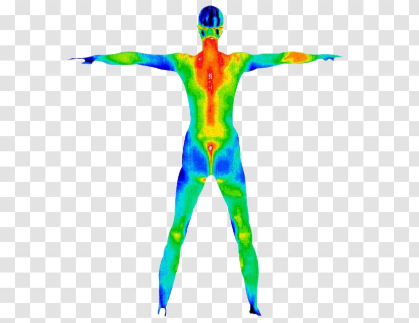 Thermography Sunshine Healing Arts - Acupuncture & Wellness Center Human Body Medicine Medical DiagnosisOthers Transparent PNG
