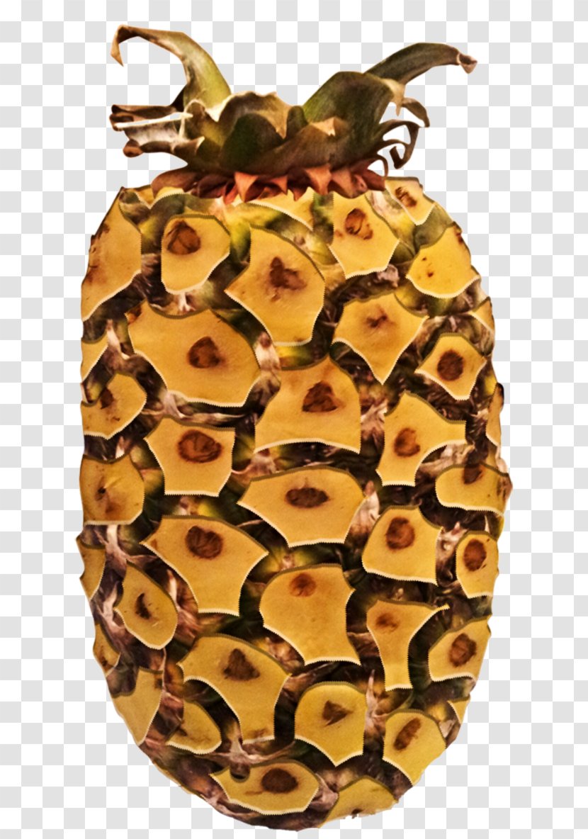 Pineapple - Fruit - Food Transparent PNG