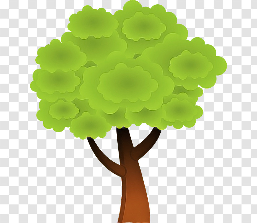 Green Tree Leaf Plant Plant Stem Transparent PNG