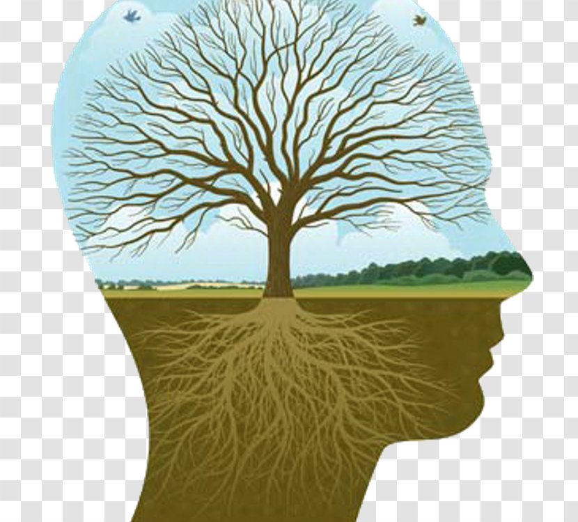 Psychotherapist Psychology Life Interpersonal Relationship Well-being - Grass Family - Thought Transparent PNG