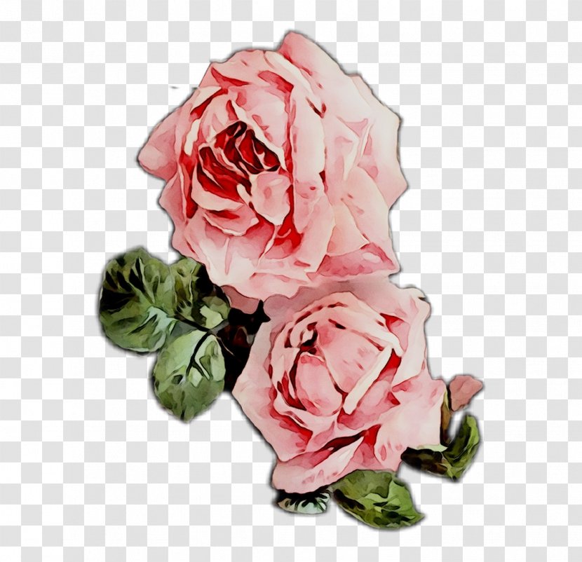 Garden Roses Cabbage Rose Floribunda Floral Design Cut Flowers - Order - Artificial Flower Transparent PNG
